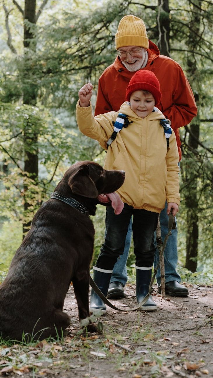 How to Choose a Stylish Jacket for a Boy: The Best Models of the Season